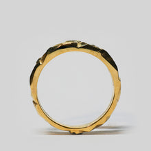 Load image into Gallery viewer, Double Geode Band - Yellow Gold